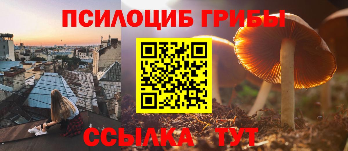 Набережные Челны  Галлюциногенные грибы мицелий  Вход с VPN 
