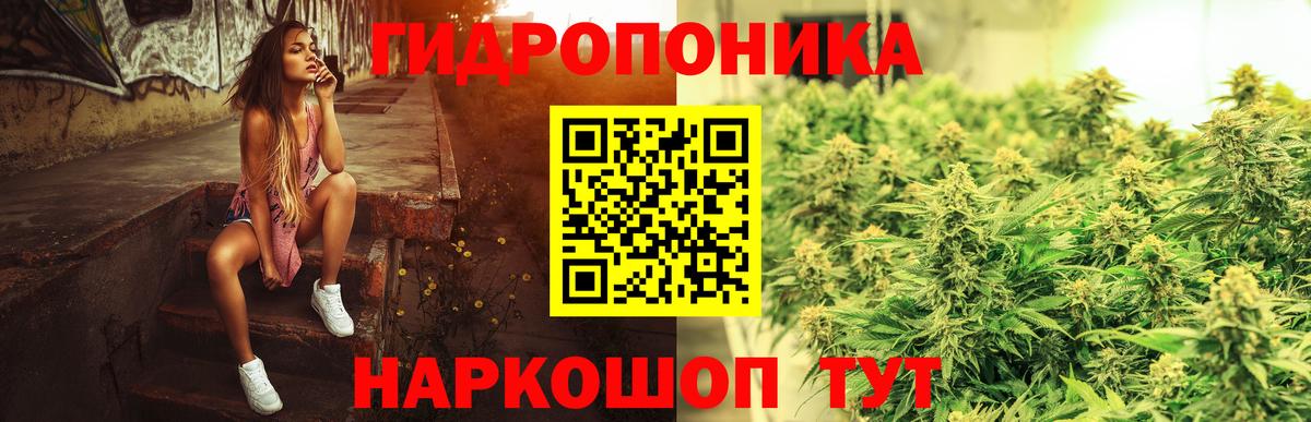 Набережные Челны  Бошки марихуана гибрид  Шишки марихуана индика  Вход с VPN  Конопля индика 